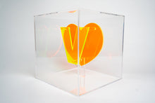 Load image into Gallery viewer, V