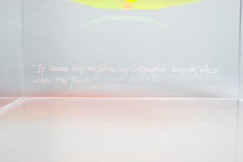 Load image into Gallery viewer, V